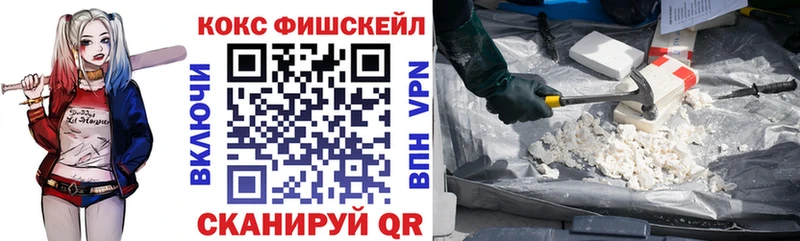 OMG tor  Жиздра  COCAIN Колумбийский  где можно купить  