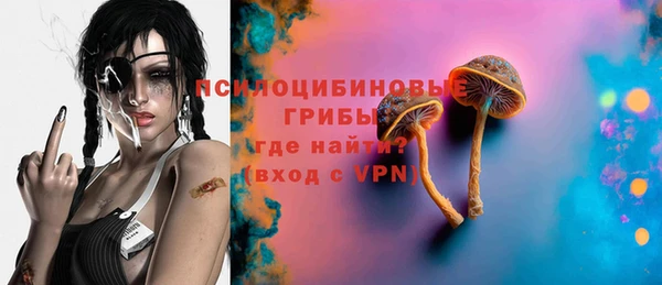 шишки Алексеевка