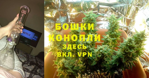 шишки Алексеевка