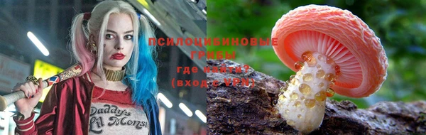 шишки Алексеевка